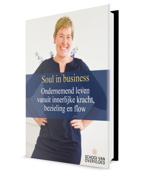 E-book Soul in business